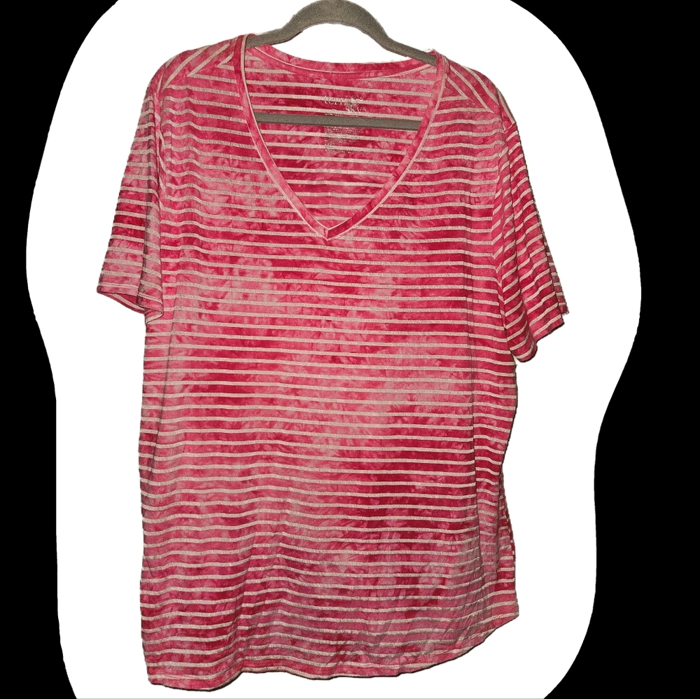 2X Terra & Sky Striped Vneck Tee